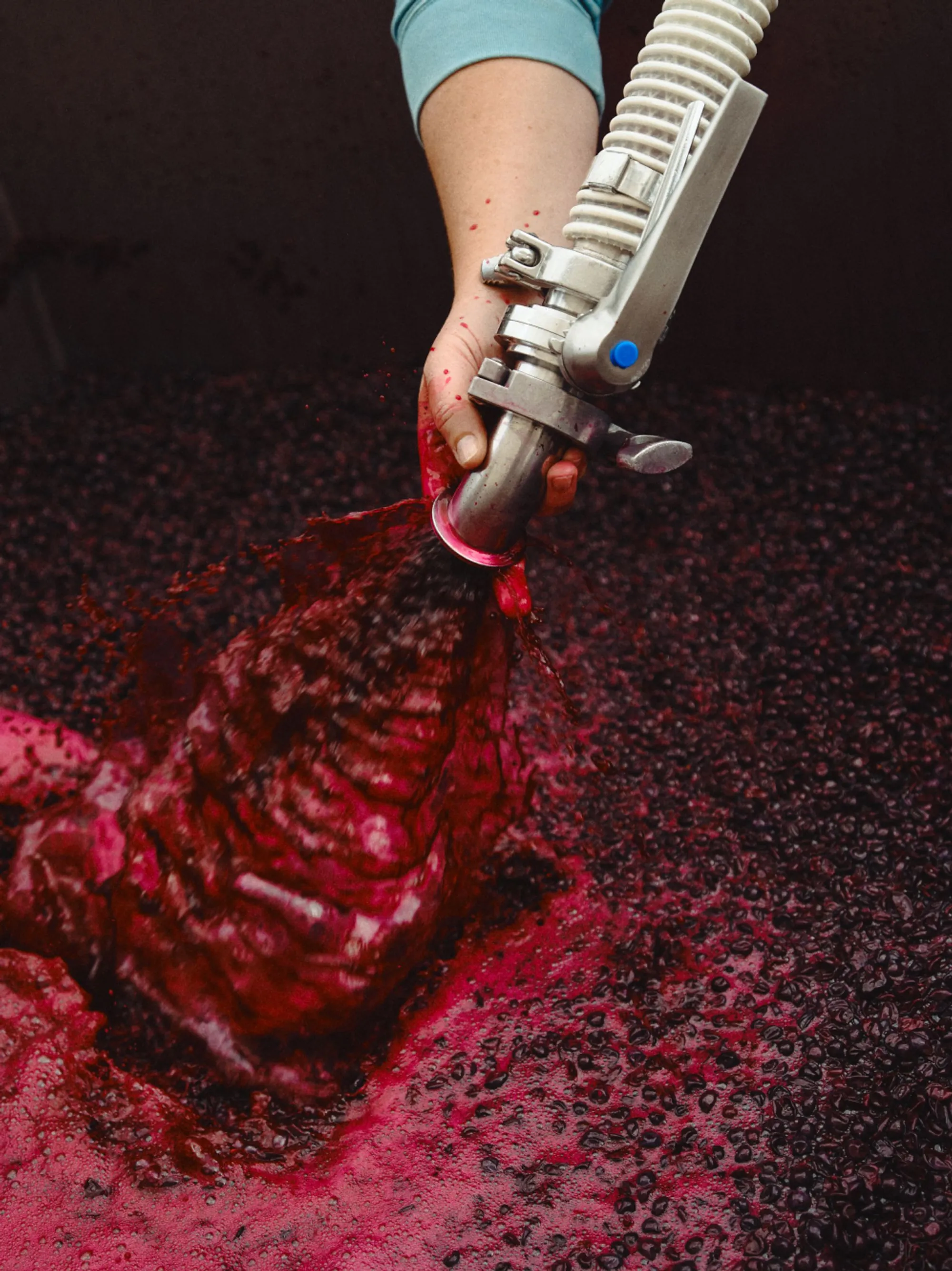 A hand holding a hose pouring grape juice into a tank